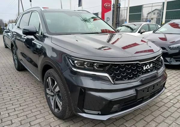 kia sorento dzierzgoń Kia Sorento cena 247500 przebieg: 5, rok produkcji 2023 z Dzierzgoń